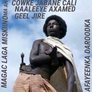 Meet your Posher, Ali